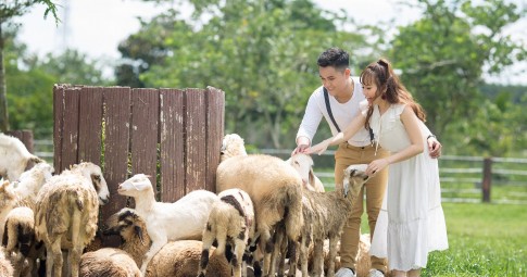 Album Củ Chi